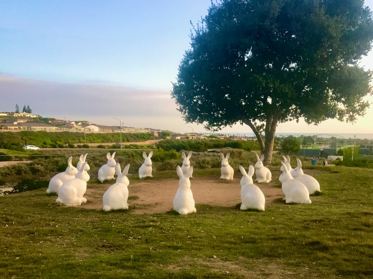 White rabbit sculptures arranged in a circle on grass near a coastal park.