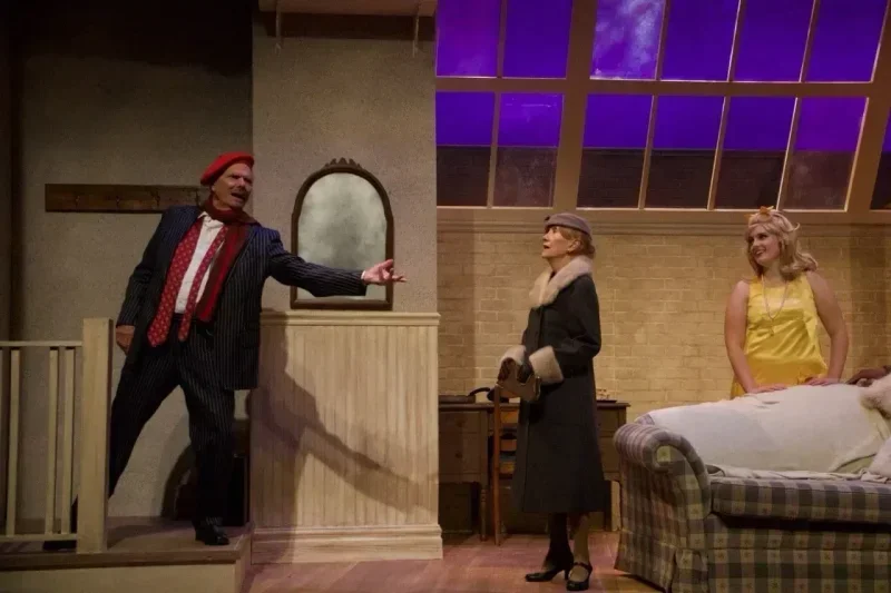 Barefoot in the Park scenic design cover image