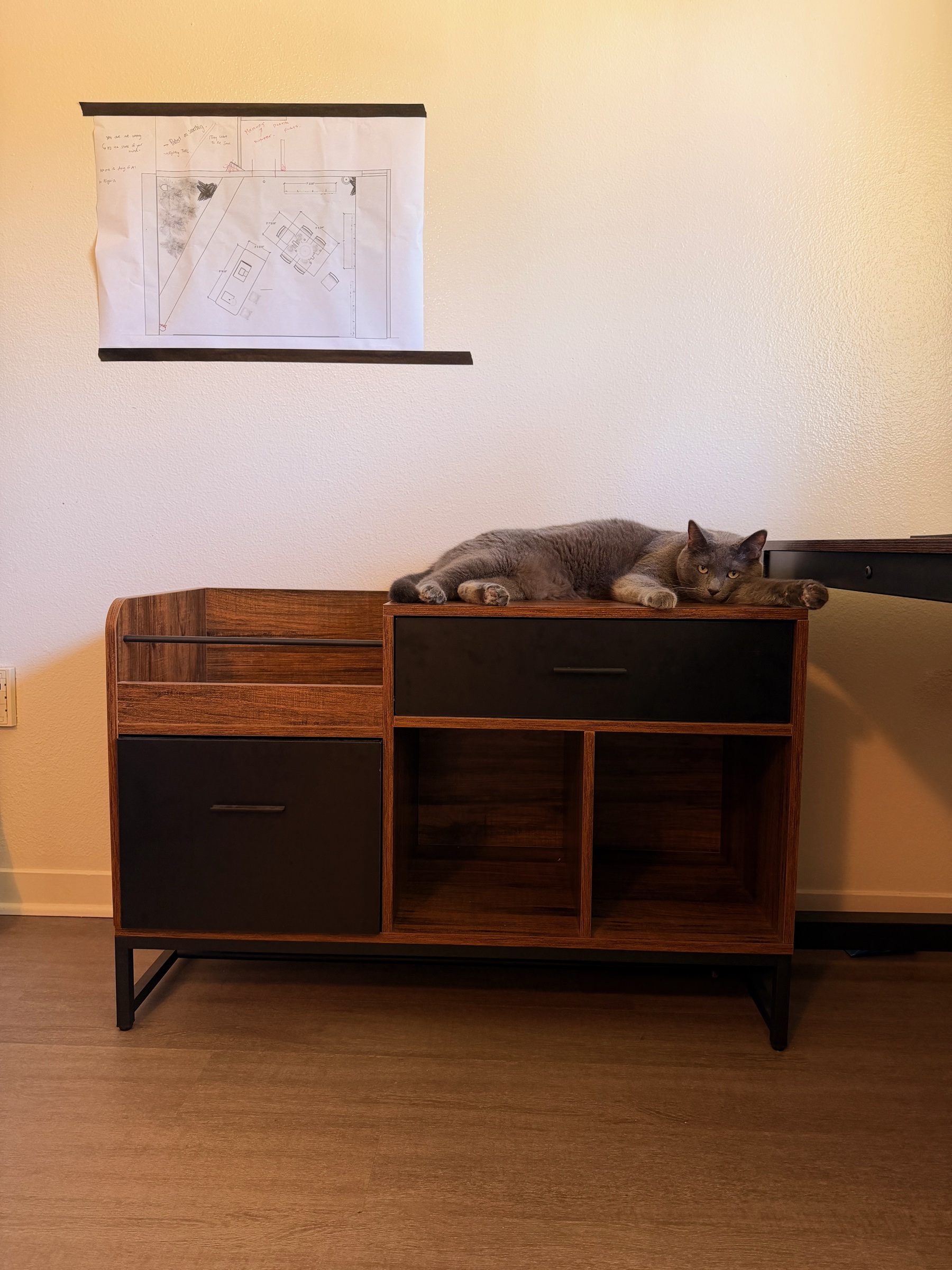 A cat resting among the materials in a scenic designer’s studio