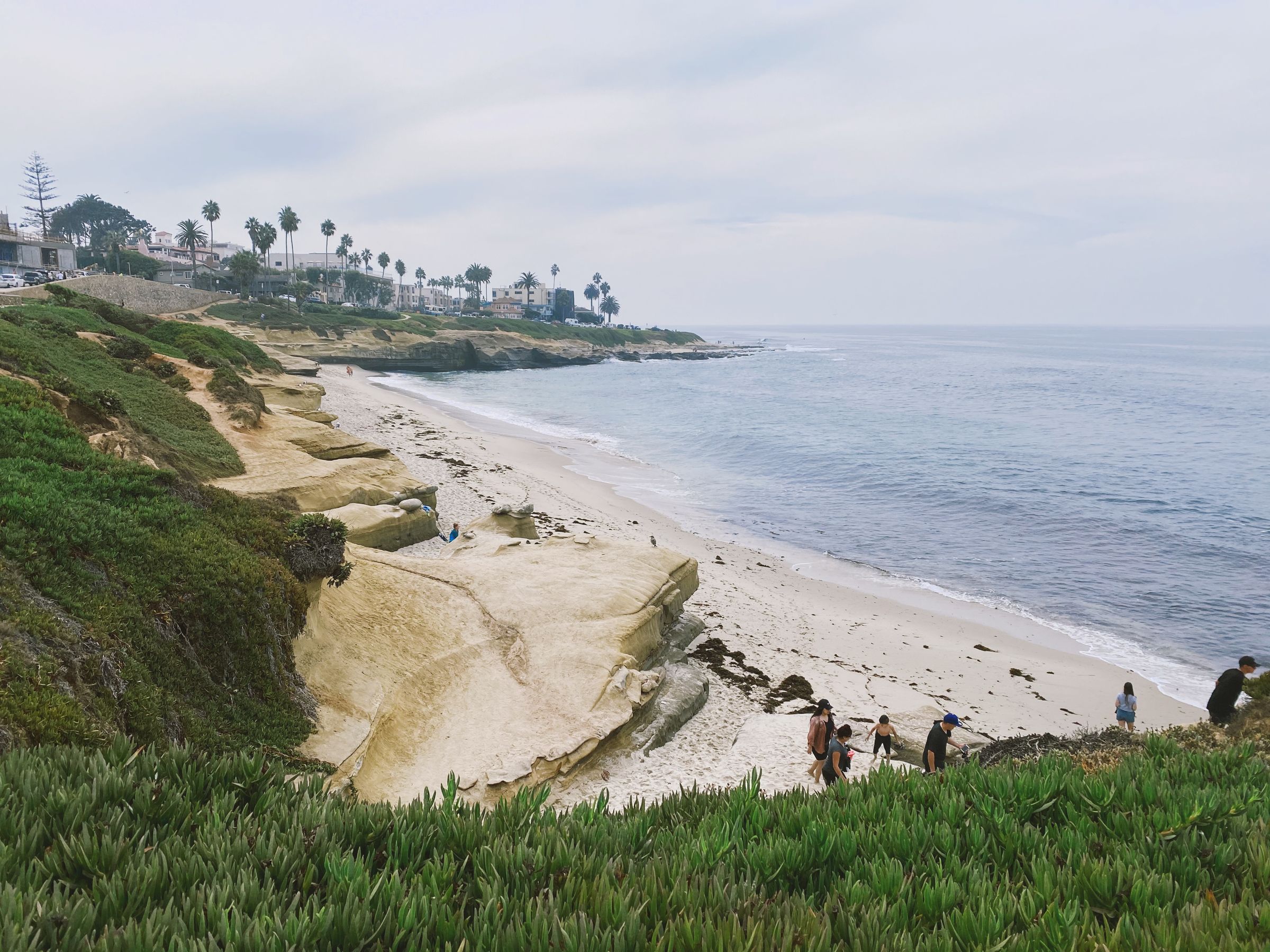La Jolla coastline in Southern California