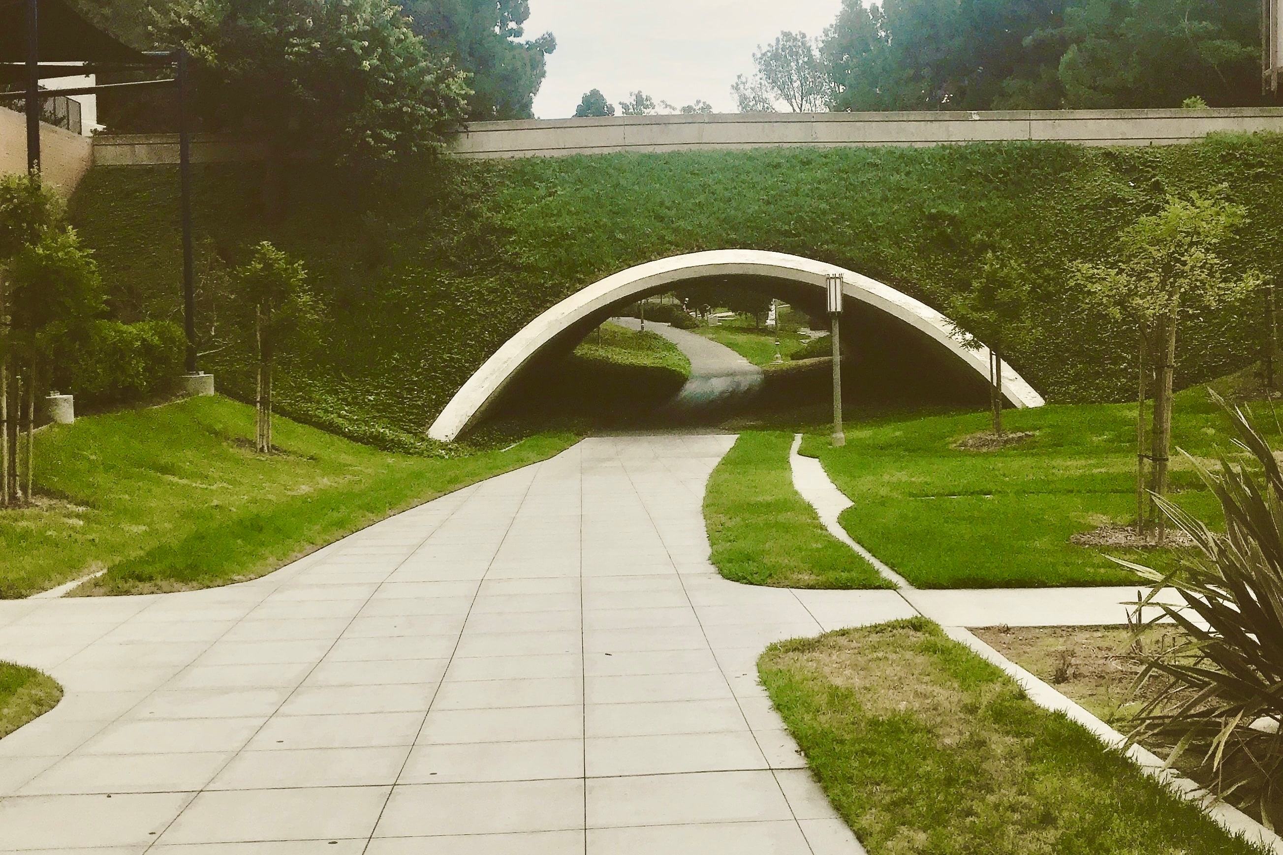 A curved concrete bridge crossing a planted Southern California garden