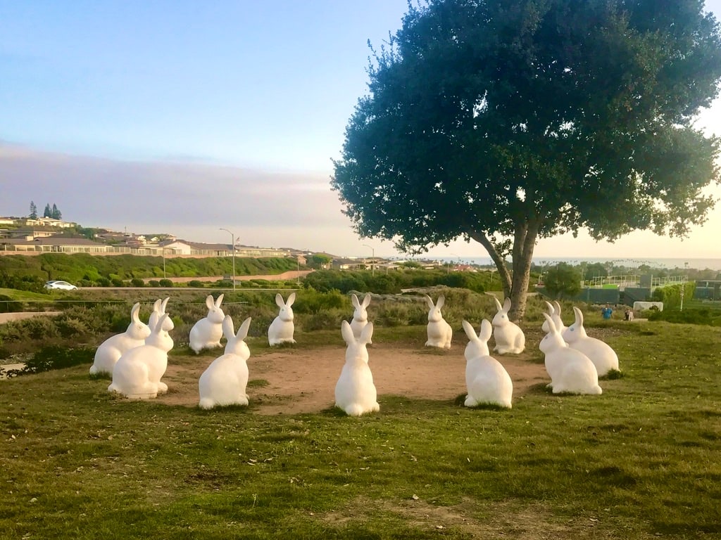 White rabbit sculptures in a Southern California landscape