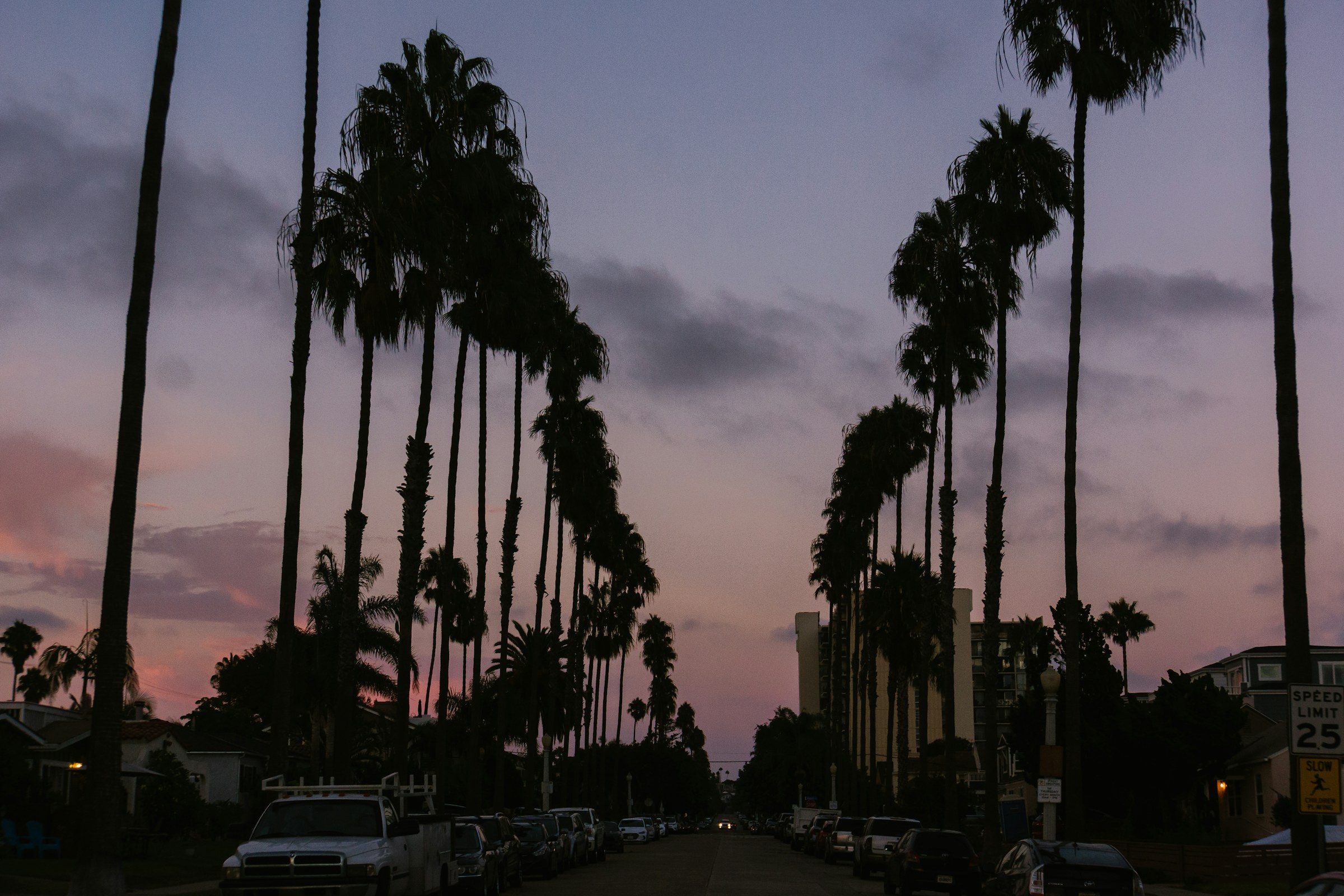 A street lined with palms at sunset in Southern California