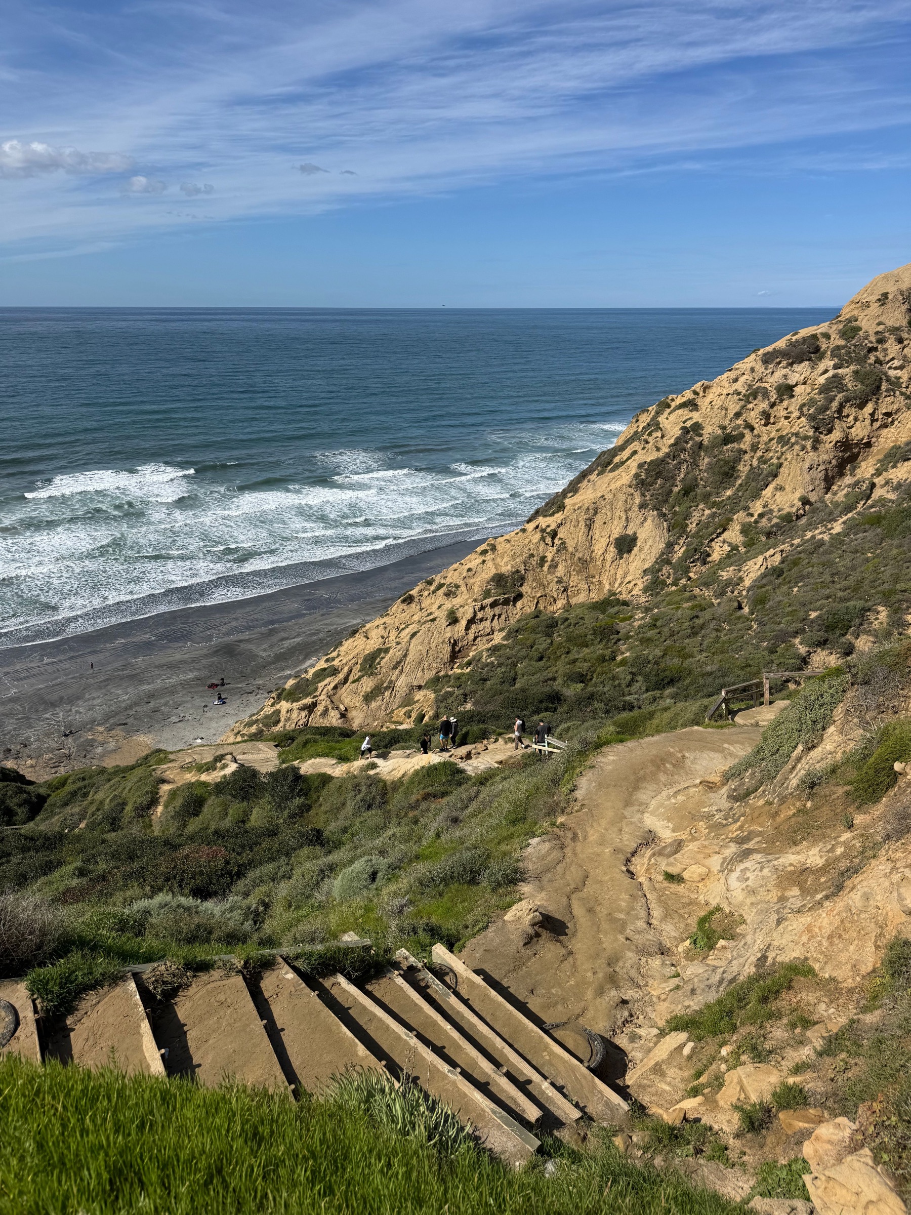 Torrey Pines above the Southern California coast