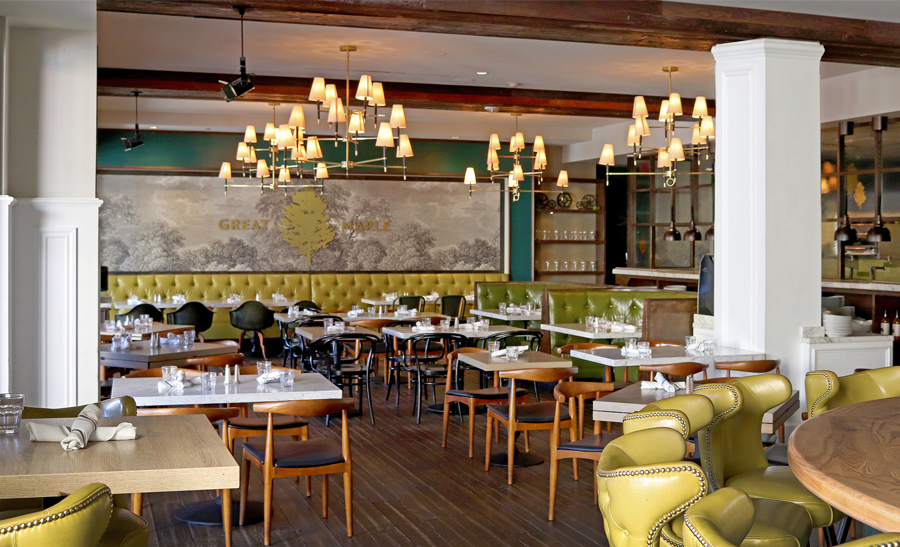 Great Maple restaurant interior with polished modern American dining atmosphere.